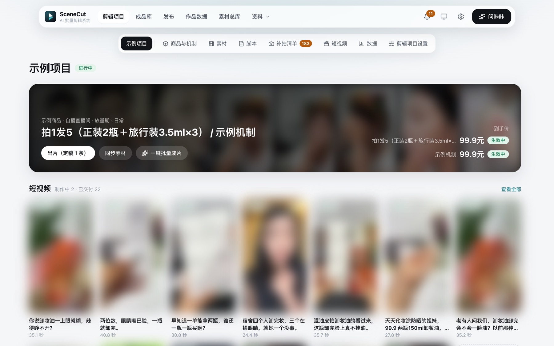 项目概览