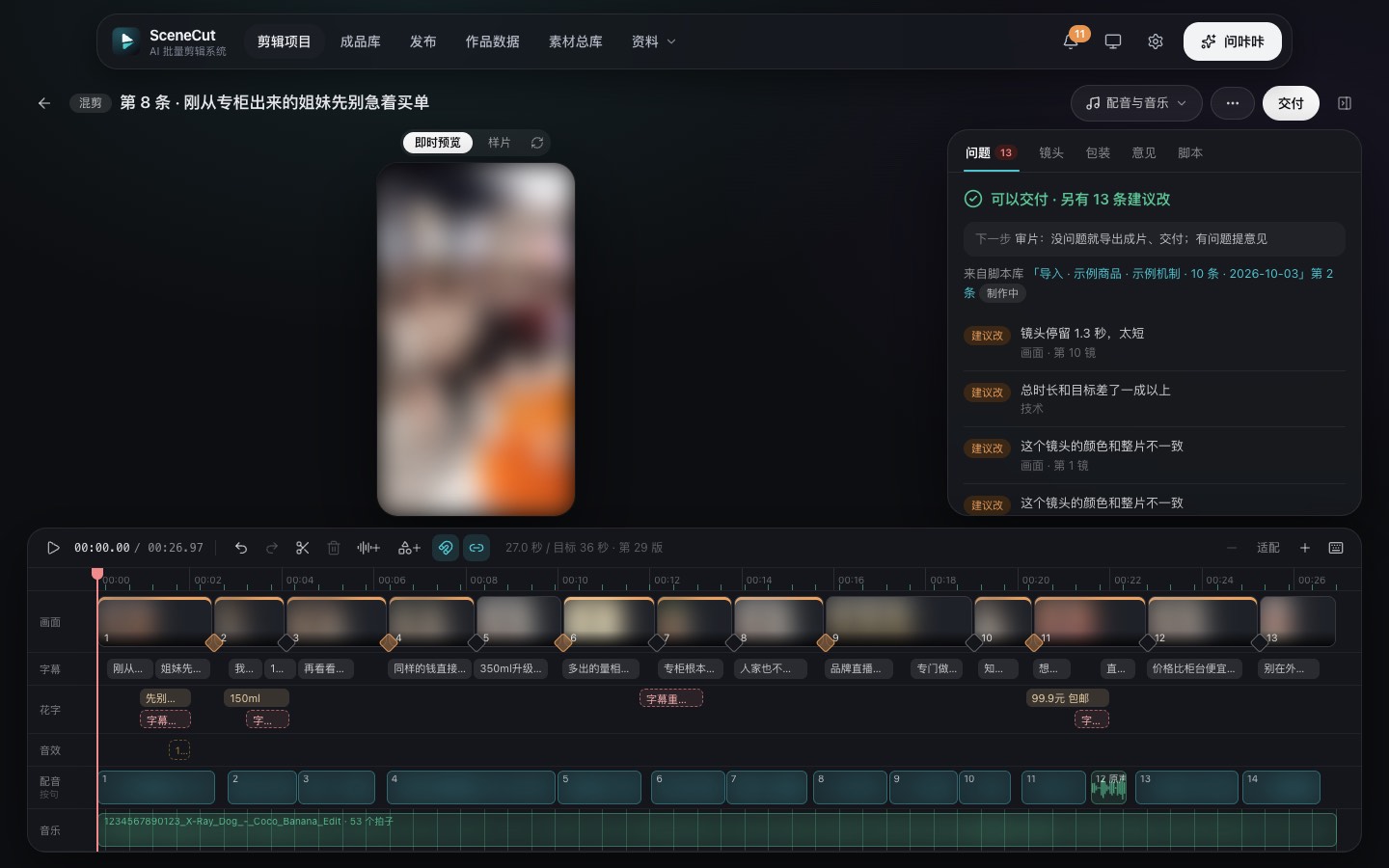 SceneCut 成片检查